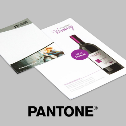 Briefpapier mit Pantone auf grauem Hintergrund