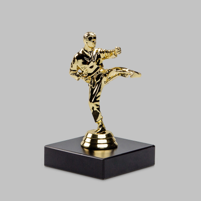 Pokale einzeln Karate