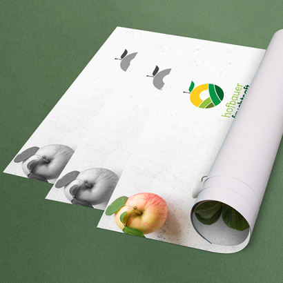 Individuell gestaltete Plakate vor grünem Hintergrund