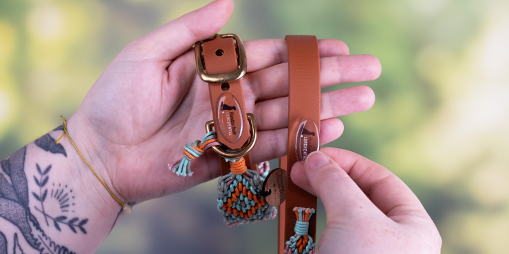 Person hält ein Hundehalsband und eine Leine mit einem ovalen Doming-Aufkleber