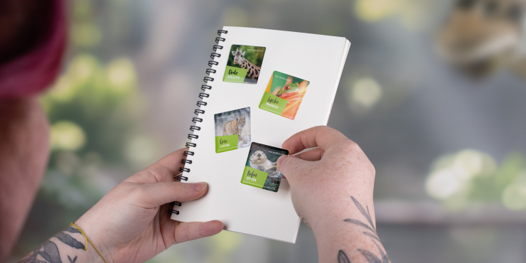 Person hält ein Notizbuch mit diversen Doming-Stickern