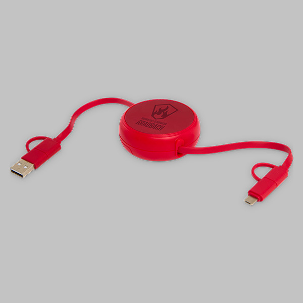 Alasia 100 cm Ladekabel