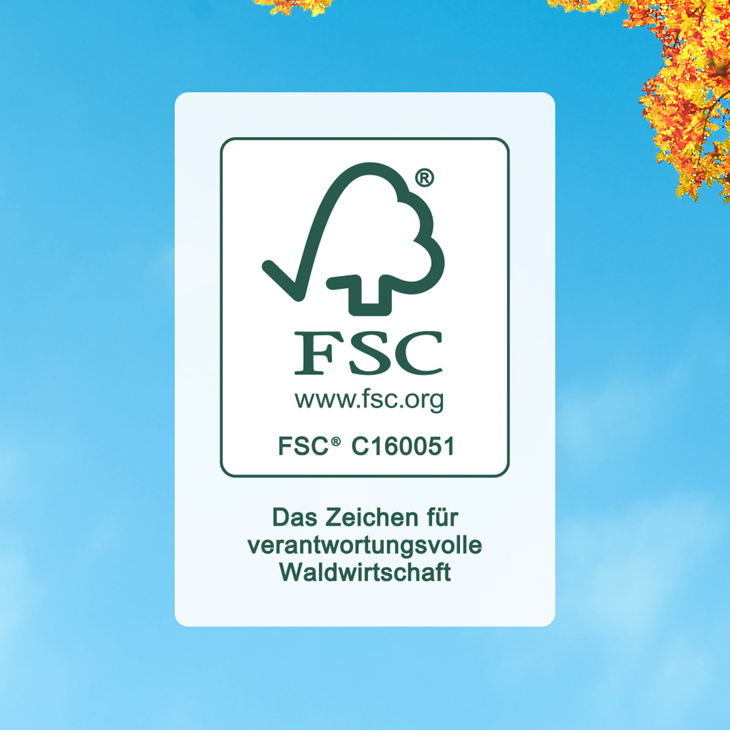 FSC Logo vor Hintergrund mit Himmel