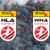 HLA- und WHA Logo mit dem druck.at Logo vor grauem Hintergrund.