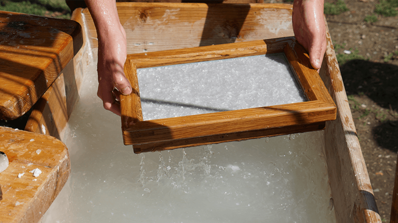Das Richtige Papier Fur Dein Druckprodukt Druck At