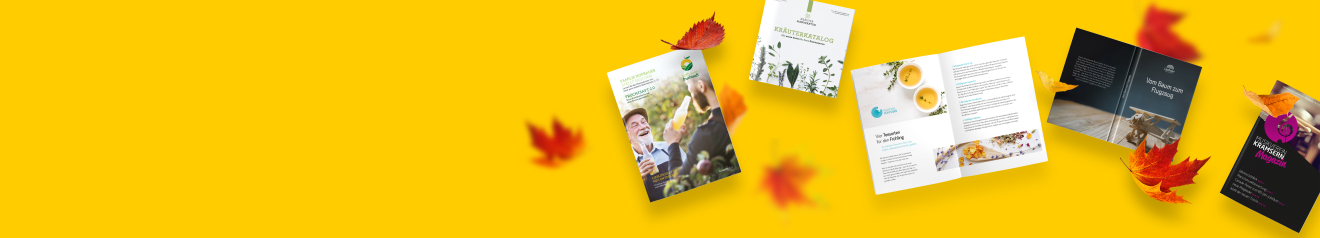 Broschüren und Magazine auf herbstlichem Hintergrund