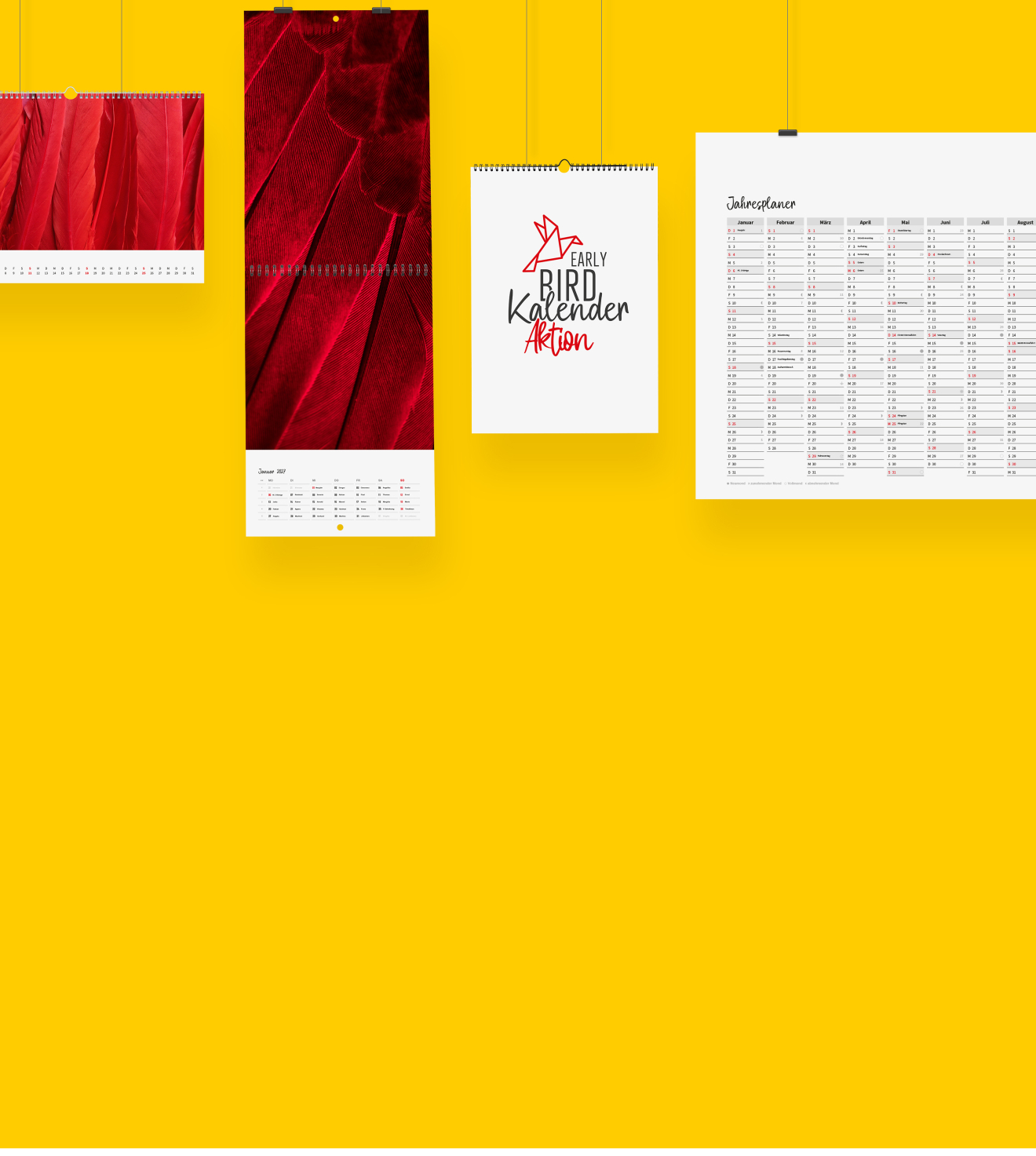 Verschiedene bedruckte Kalender hängen auf einer gelben Wand und zeigen die Early Bird Aktion