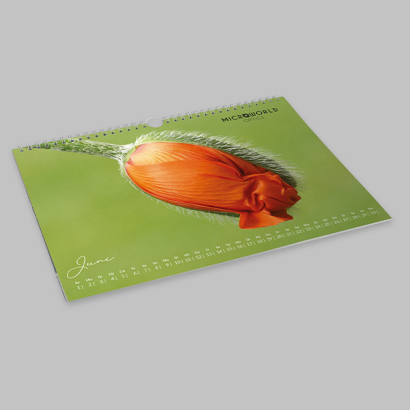 Wandkalender mit Daumenloch