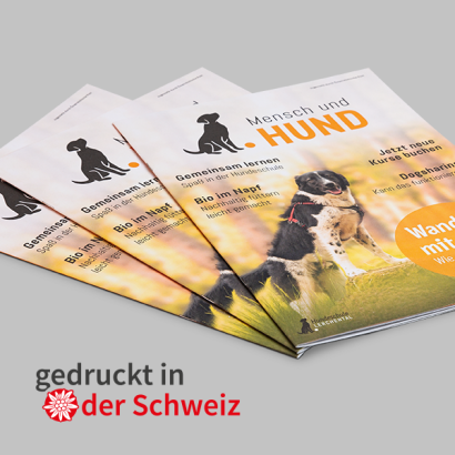 Broschüren bedruckt mit Hunden
