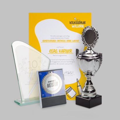 Auszeichnungen &amp; Ehrungen