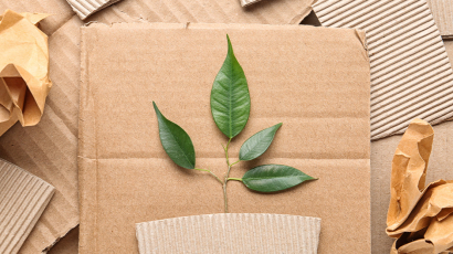 Ein Karton auf dem ein Blatt liegt.