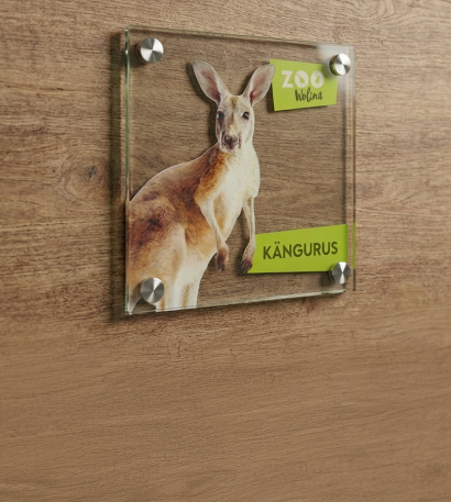 Echtglasschild mit Fotodirektdruck auf einer Holzwand mit Aufhängevorrichtung für die Wand