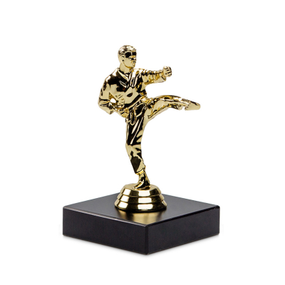 Pokal mit Karatefigur