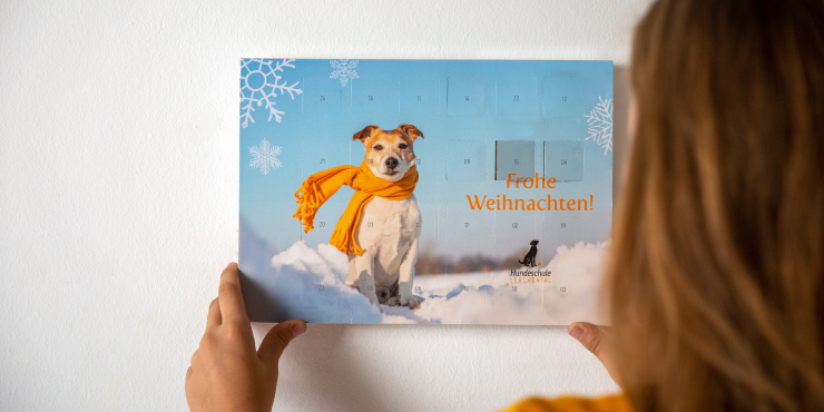 Wand Adventskalender A4 XL