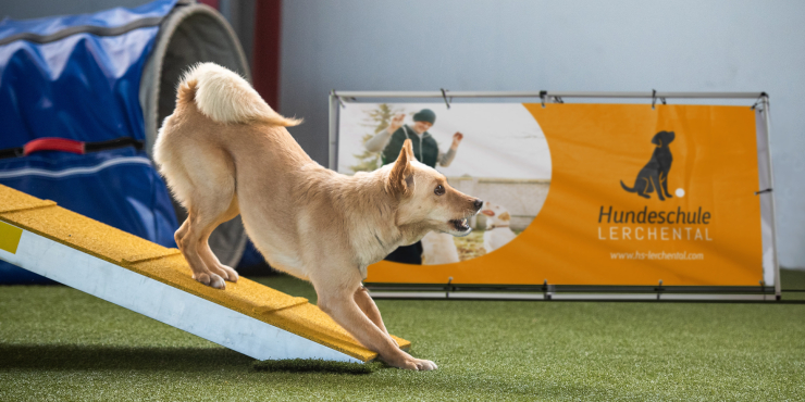 bedrucktes Sideline Banner