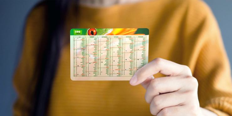 Frau hält einen bedruckten Taschenkalender