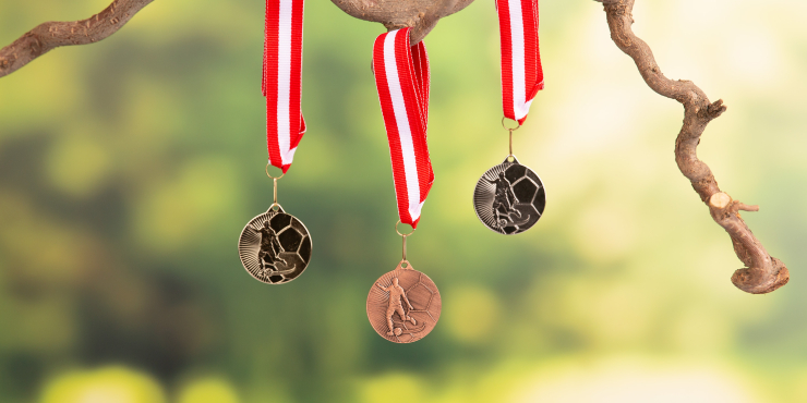 Eine Medaillenserie hängt an einem Ast