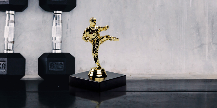 Goldener Pokal in Form eines Karateka