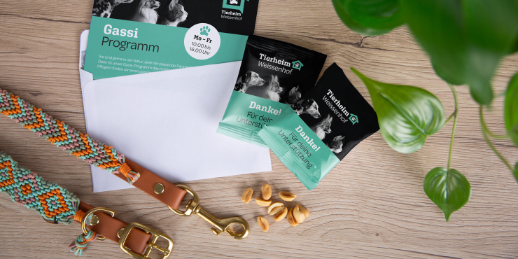 Individuell gestaltete Tüten und Flyer vom mit Hundeleine und Erdnüssen auf Holzuntergrund