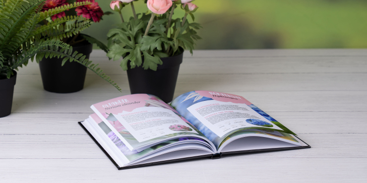 Bestpreis Hardcover-Buch mit Klebebindung am Tisch liegend