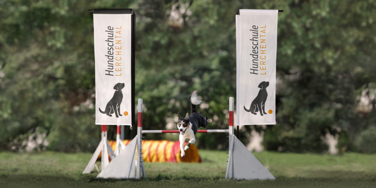 Zwei rechteckige Beachflags stehen auf einem Hundeparcour